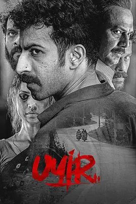 我的阿勒泰